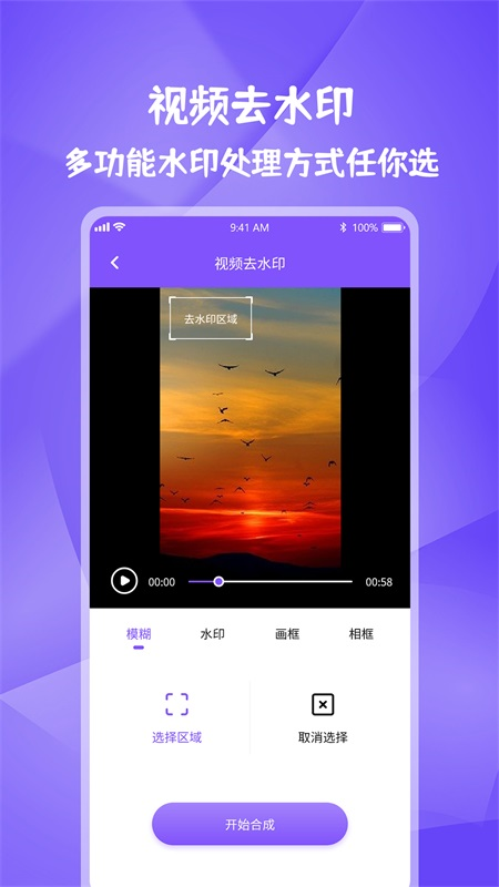 图片视频妙去水印app