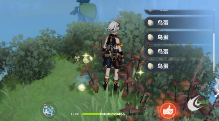 原神中的鸟蛋怎么获得