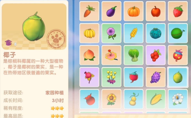 摩尔庄园的夏日解暑冲饮怎么做