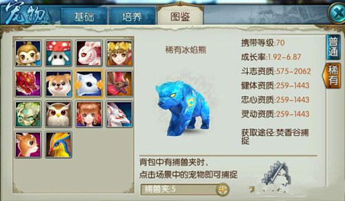 诛仙手游稀有冰熊用什么技能玉