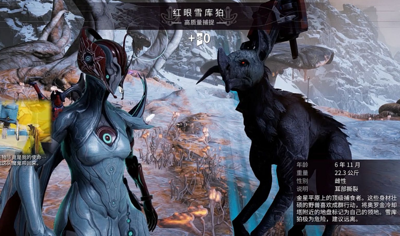 星际战甲动物标签怎么获得
