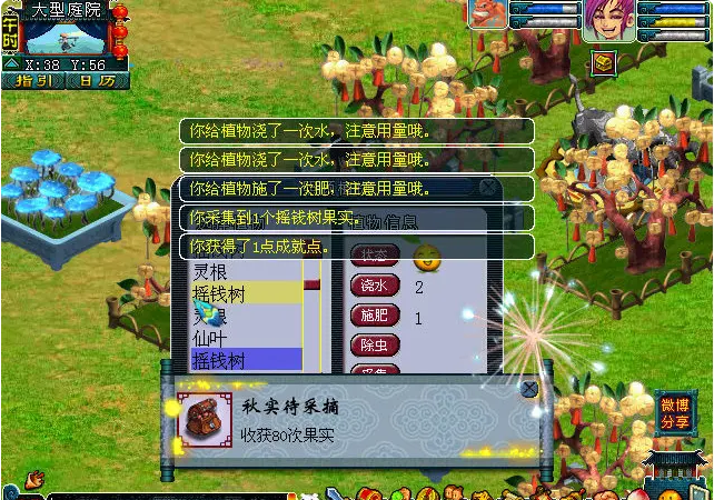 梦幻西游四级种子怎么获得