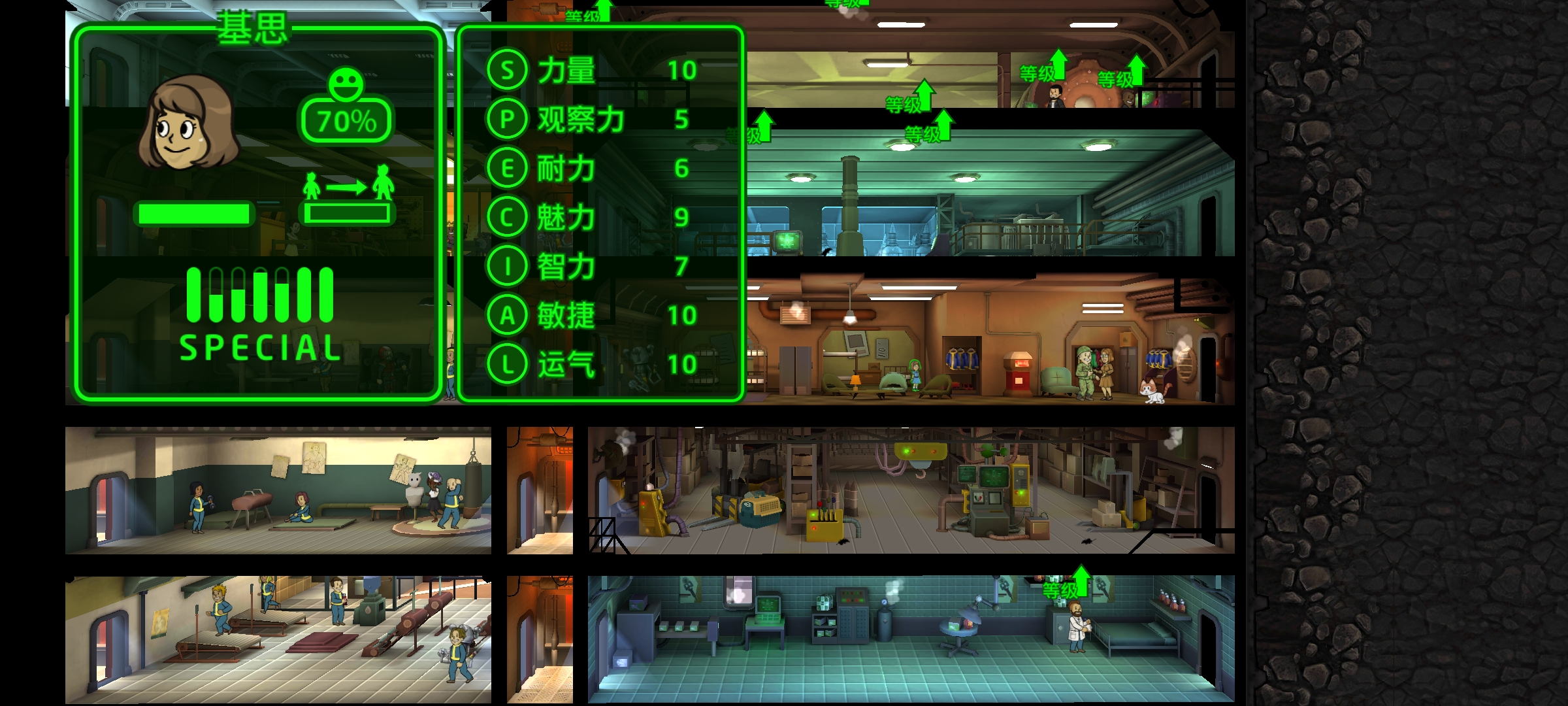 辐射避难所如何看属性