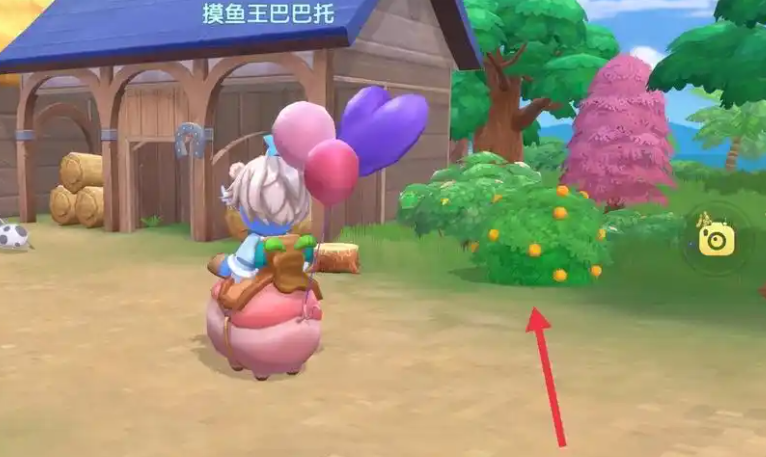 摩尔庄园厨房食材怎么获取