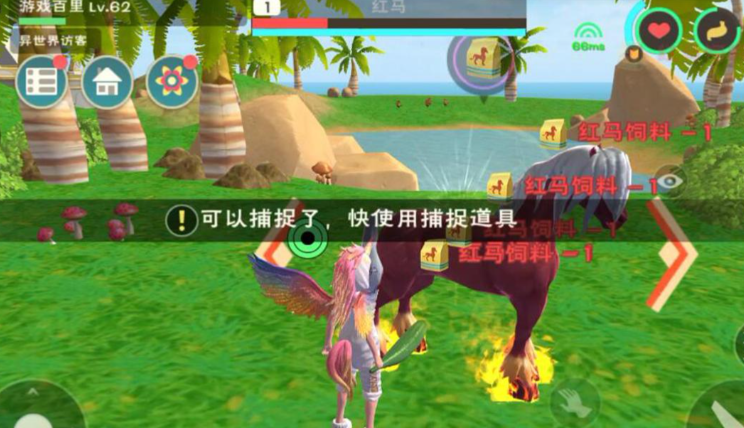创造与魔法火马在哪里