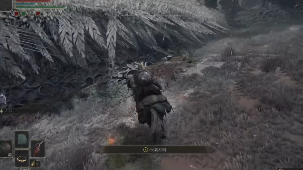 艾尔登法环怎么救龙墓的白龙 艾尔登法环怎么救龙墓的白龙