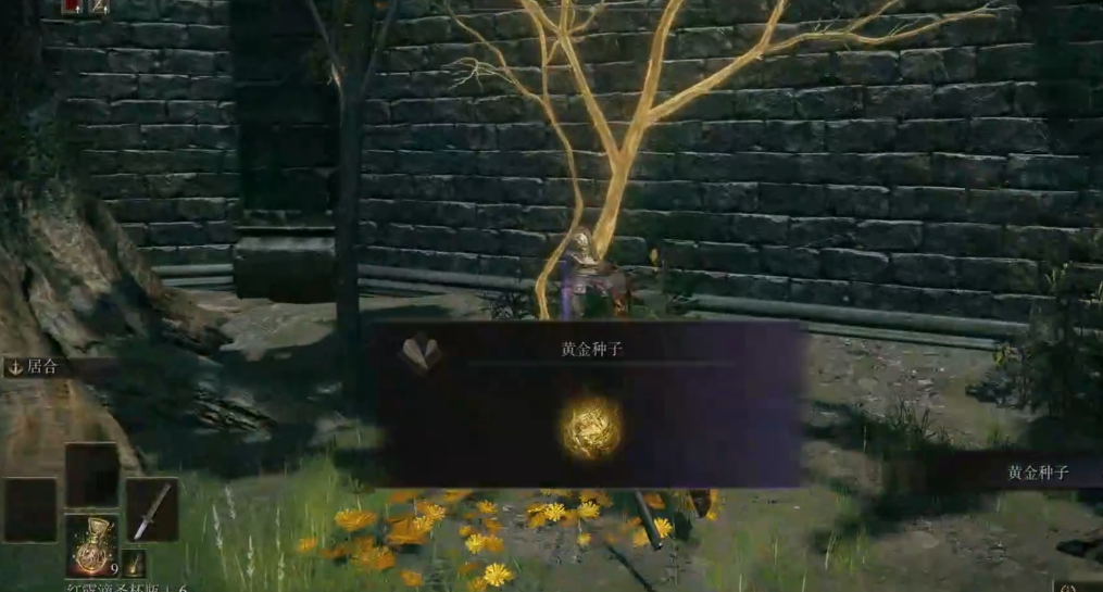 艾尔登法环怎么玩主线地图 艾尔登法环怎么玩主线地图