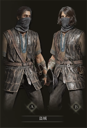 艾尔登法环后期什么职业厉害