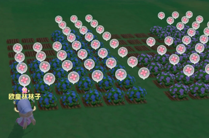 摩尔庄园怎么收获果实 摩尔庄园怎么收获果实