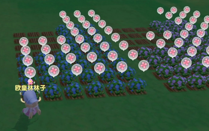 摩尔庄园手游发光的草怎么获得