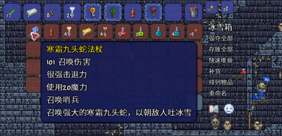 泰拉瑞亚地牢雪地宝箱有什么