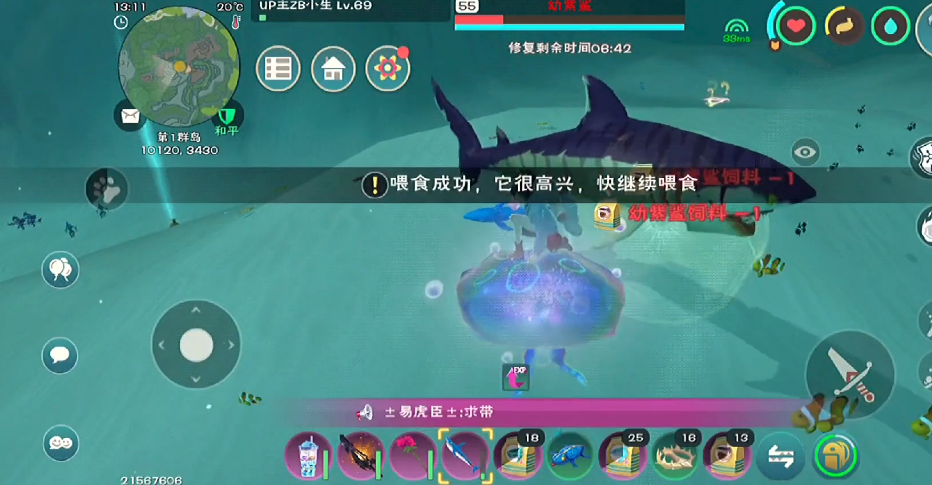 创造与魔法幼紫鲨饲料怎么做