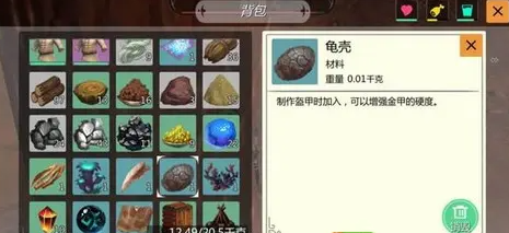 创造与魔法龟壳哪里有