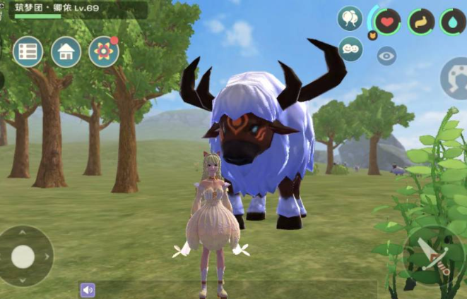 创造与魔法稀有肉在哪里弄