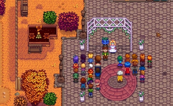 星露谷物语怎么和npc结婚