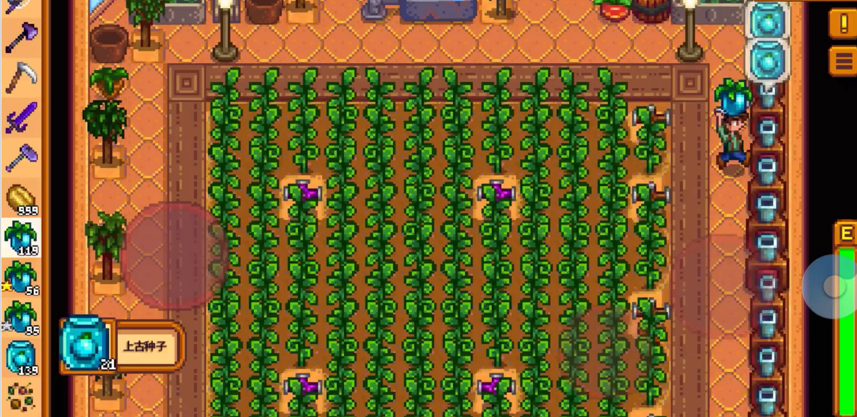 星露谷物语第二年怎么刷钱