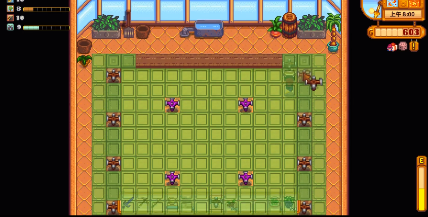 星露谷物语温室怎么种