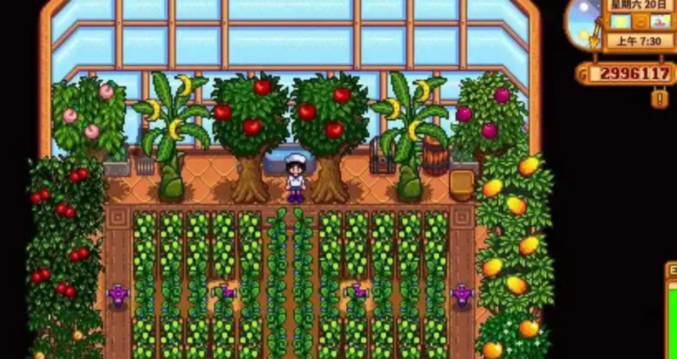 星露谷物语冬天可以干什么