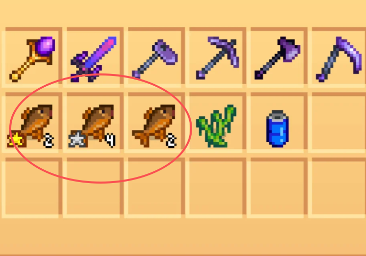 星露谷物语太阳鱼什么时候钓