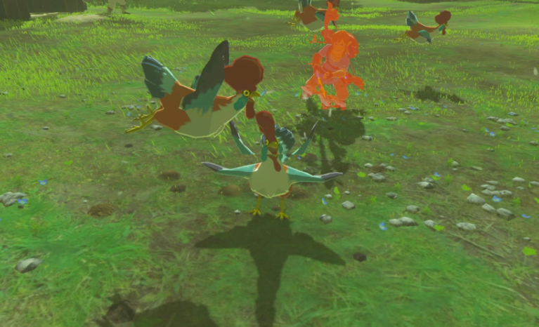 塞尔达传说荒野之息咕咕鸡任务怎么接