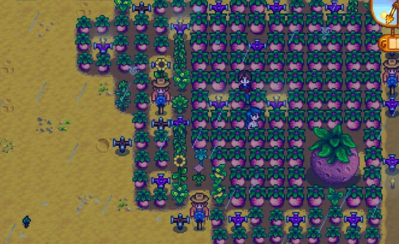 星露谷物语夏季怎么赚钱