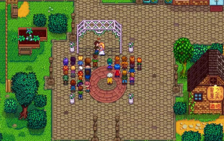 星露谷物语海莉什么时候结婚 星露谷物语海莉什么时候结婚