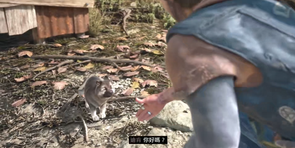 往日不再小狗在哪