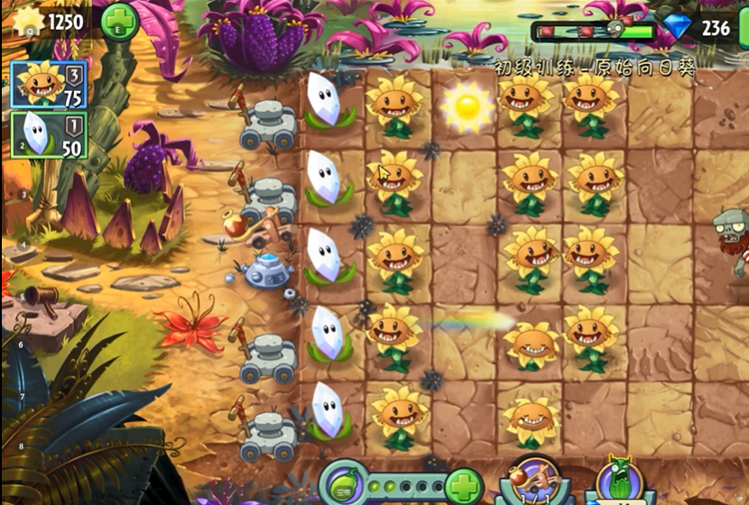 植物大战僵尸向日葵初级训练怎么过