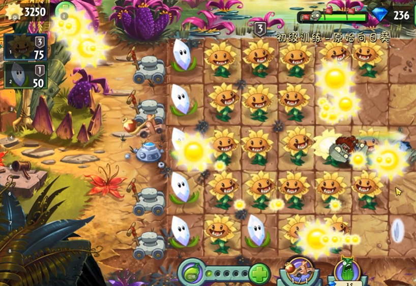 植物大战僵尸向日葵初级训练怎么过