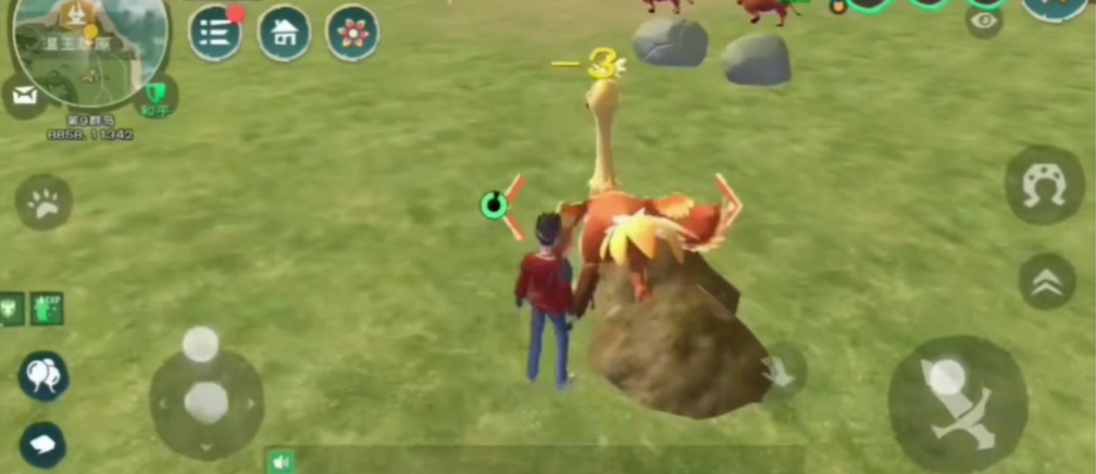 创造与魔法陆行鸟饲料怎么做